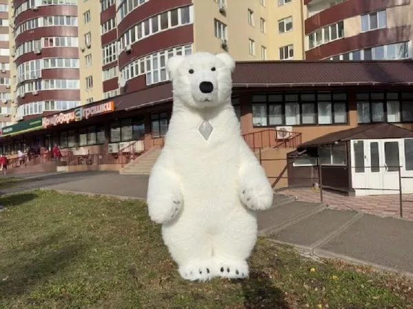 Пневмокостюм медведя для торжеств,  рекламы