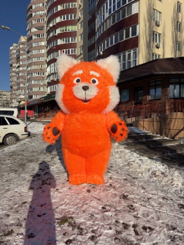 Костюм надувний Червона панда 7