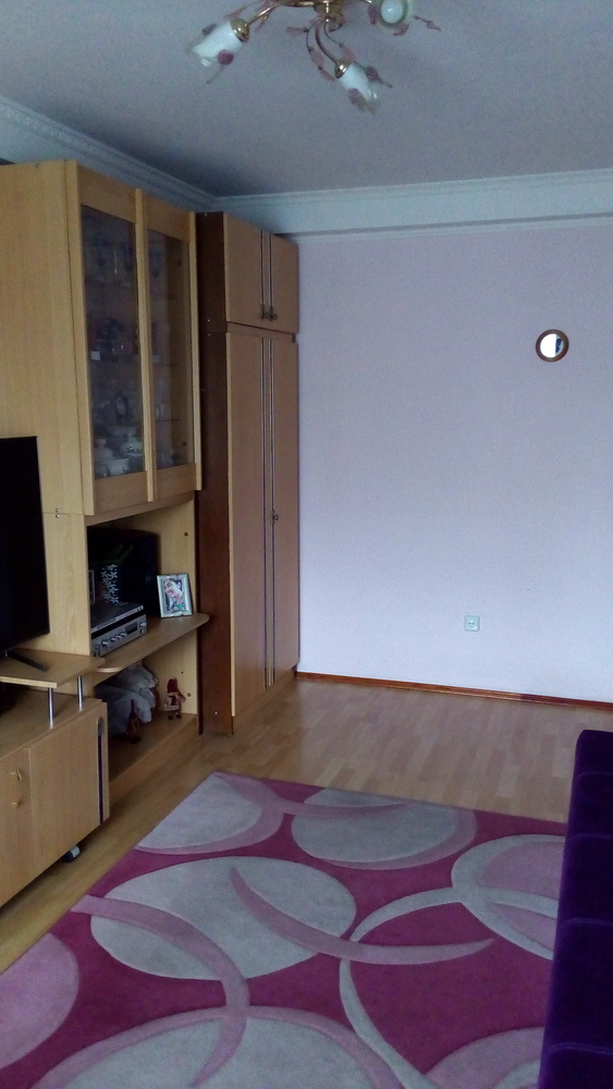Продам двокімнатну квартиру з меблями та технікою у Києві 9