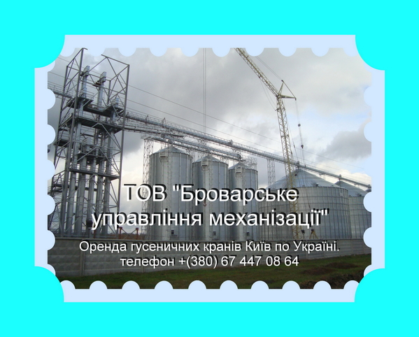 Оренда гусеничних кранів МКГ-25БР Київ по Україні.. 8