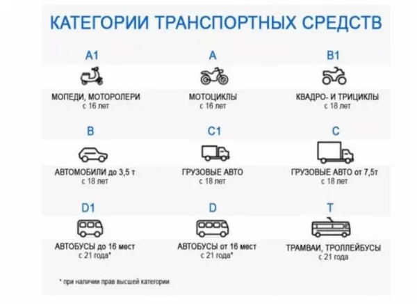 Получите украинские водительские права быстро и официально!  5