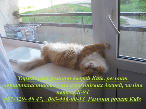 Терміновий ремонт дверей Київ, ремонт металопластикових та алюмінієвих дверей, заміна петель S-94