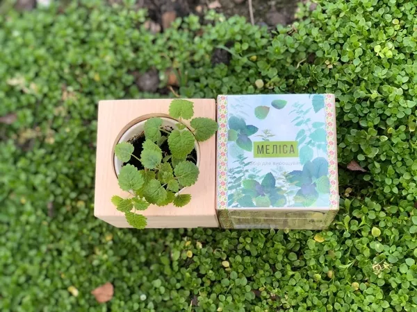 Корпоративні подарунки для IT компаній. 3