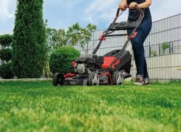 Покіс трави: Київ,  Київська область та Біла Церква. Швидко,  якісно,  доступно! 6