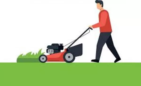 Покіс трави: Київ,  Київська область та Біла Церква. Швидко,  якісно,  доступно! 7