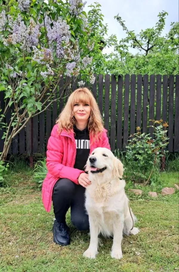 Золотистого ретрівера цуценята Ot Bahur 8