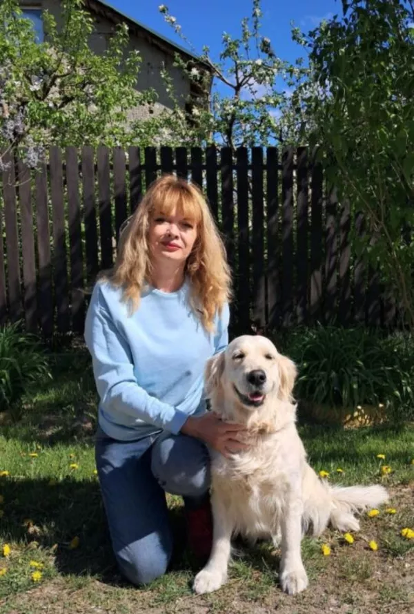 Ot Bahur цуценята золотистого ретрівера. 8