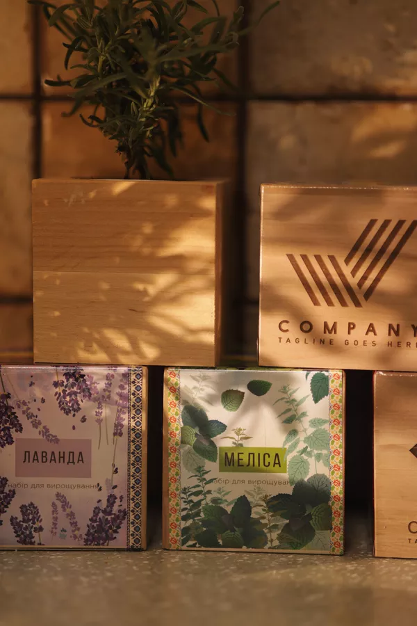 Екологічні подарунки на Новий рік 2026. Квітучі подарунки 5