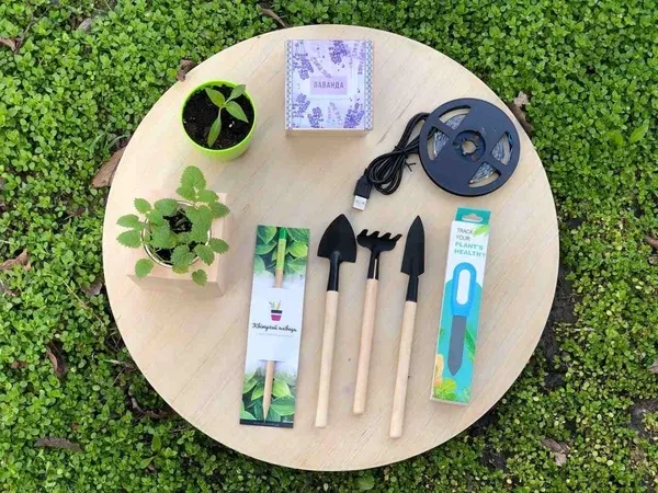 Новорічні корпоративні подарунки з думкою про природу. 3