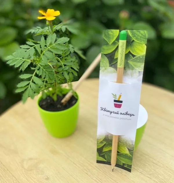 Новорічні корпоративні подарунки з думкою про природу. 4