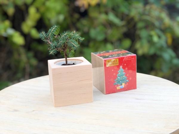 Подарунки на Миколая. Новорічні набори. DIY набори 4