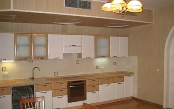 Сдается в аренду элитная квартира в центре Киева 2