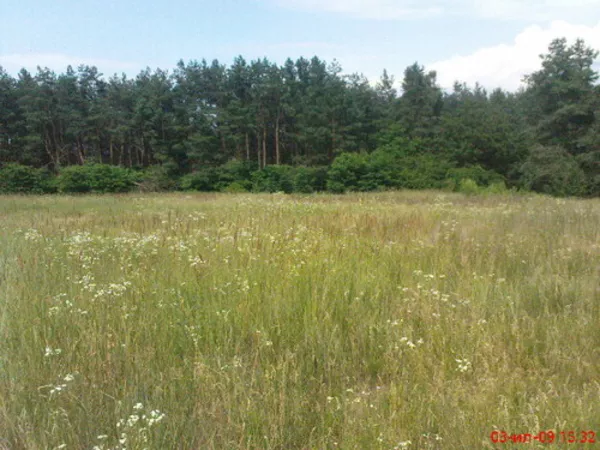 Продаю участок 40-км от Киева Барышевский- район село Селычивка 15-сот