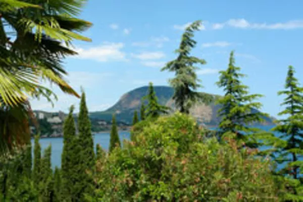 КРЫМ – ОТДЫХ И ЛЕЧЕНИЕ