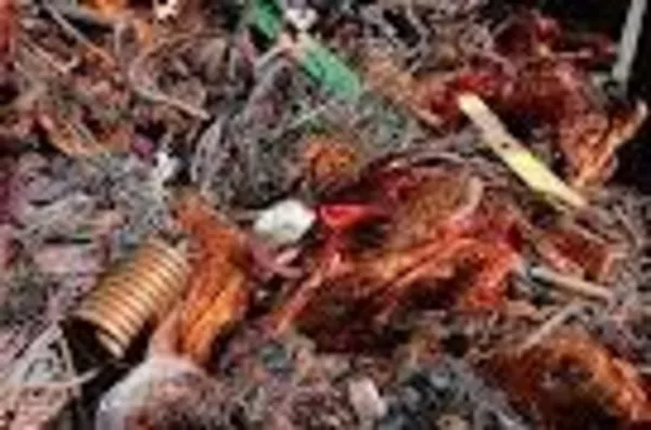 куплю лом меди дорого.киев 067-937-81-66