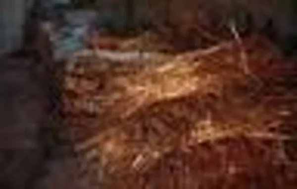 Медь куплю лом киев дорого 067-937-81-66