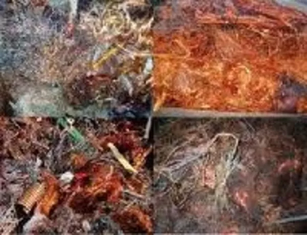 Куплю Лом Меди Киев Дорого 098 427 03 93! Дорого куплю Медь. Киев.