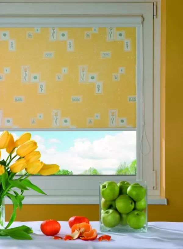 Рулонные шторы, открытые системы, жалюзи.