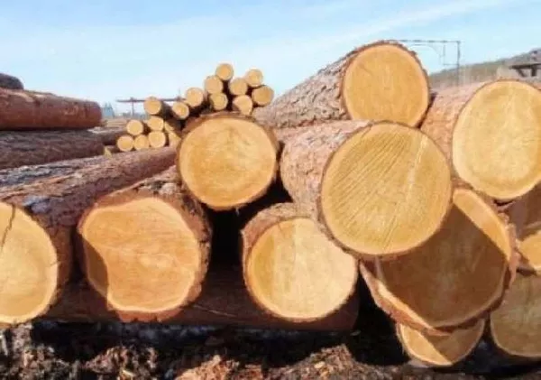 Продам лес кругляк