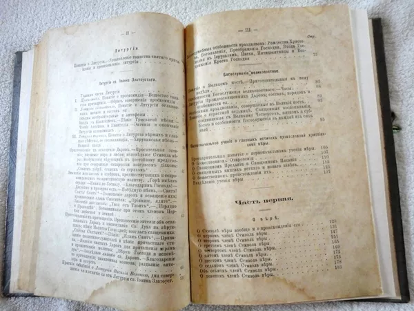 Церковная книга 1891 года