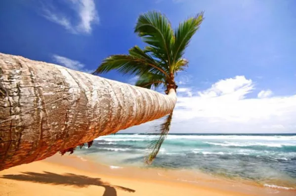 Время для отдыха в ОАЭ! 