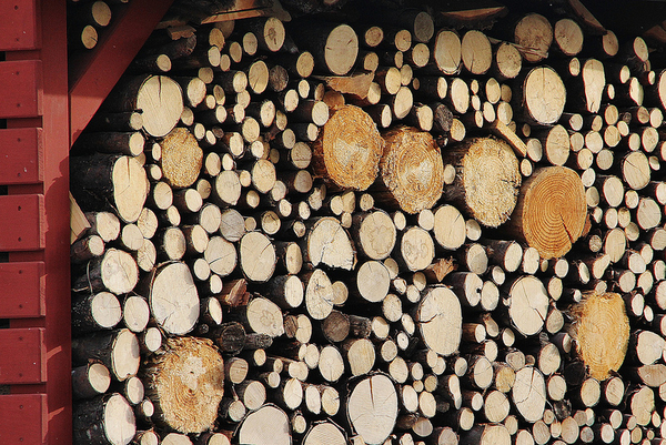 Лес-кругляк, доставка, разгрузка