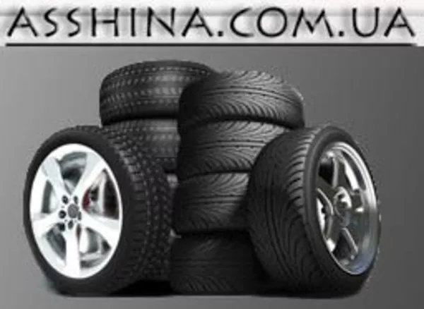 Asshina.com.ua продажа шин ведущих производителей доставка заказов 2