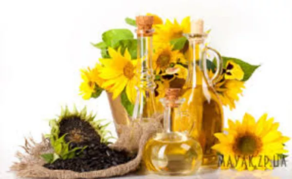 покупаем масличные и зерновые культуры