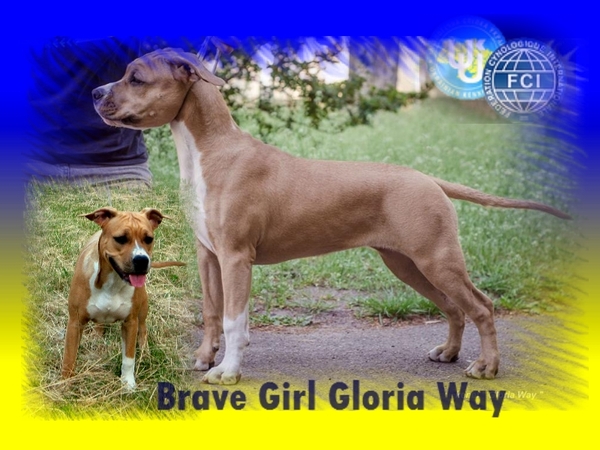 Уникальная девочка Шоу Класса Стафф с Киева