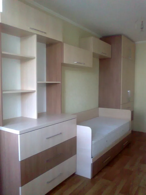 Корпусная мебель по заказ, производство