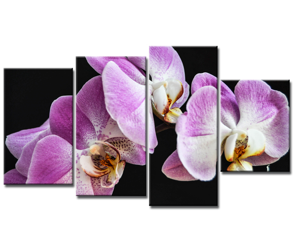 Модульные картины оптом в Украине. Широкий выбор, отличное качество