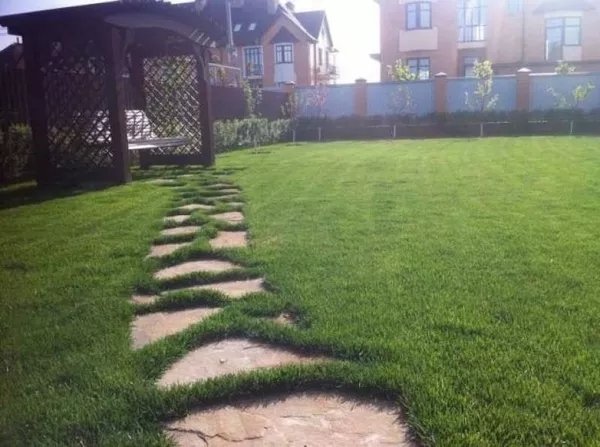 Нужен классный ландшафтный дизайн