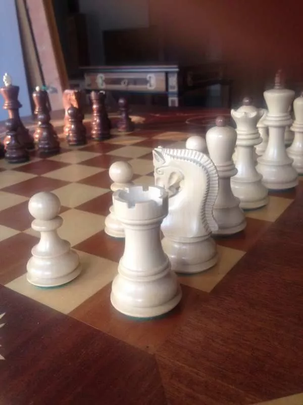 Шахматный стол - Венценосные журавли. 3