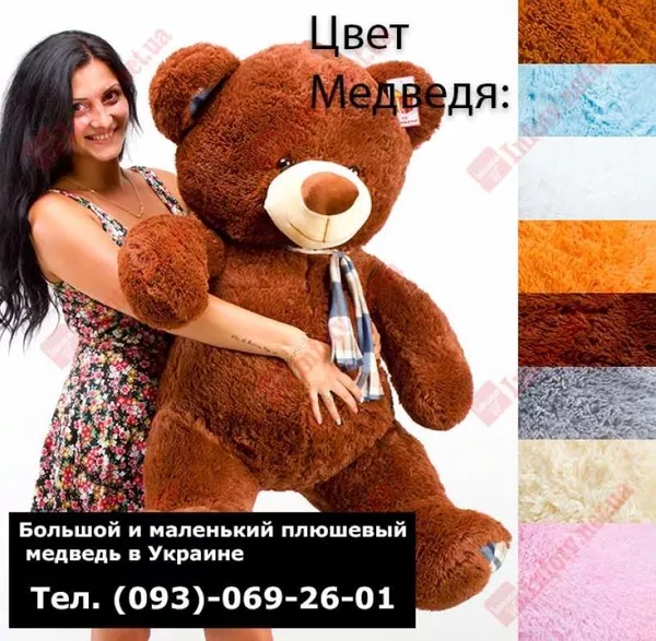 Большой и маленький плюшевый медведь,  подарок в Украине 2