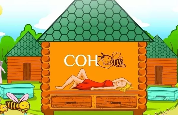 Сон на вуликах. Сон на ульях. Мед на заказ,  доставка в Киев 2