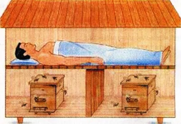 Сон на вуликах. Сон на ульях. Мед на заказ,  доставка в Киев 3