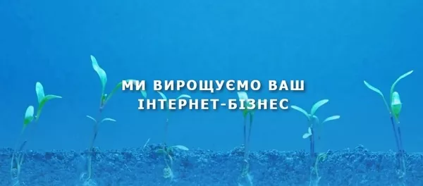 Інтернет магазин від веб студії (безкоштовне створення)